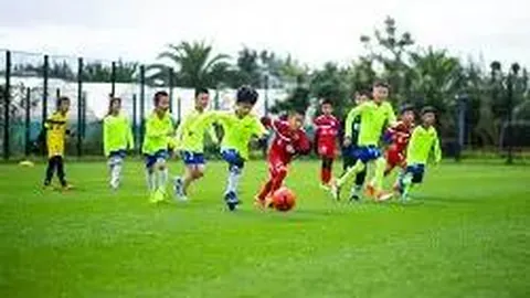 【每日必看】3D第26期精准预测：揭秘第039期绝杀码与必中胆码——28，不容错过！