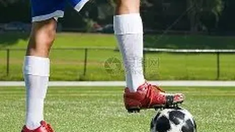 【双色球26019期】彩仙独家揭秘：蓝球5胆精选，趋势解析，助你一击即中！