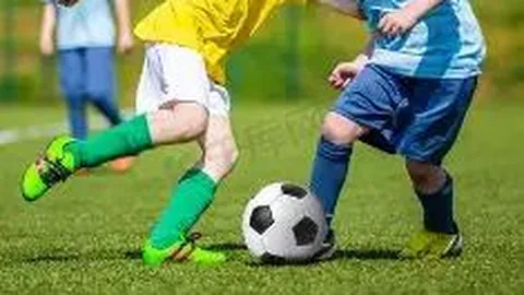 [心界无限]2026011大乐透精准预测：揭秘必杀号码，04号必看攻略！