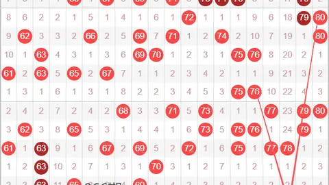 第2026031期 双色球2026031期阿翔红球杀六码专家